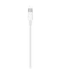 Apple USB-C to USB-C Cable 2m